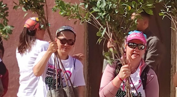 1000 oliviers pour l'avenir de Tafraout Sidi Ali